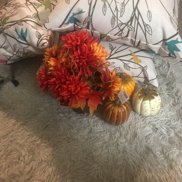 Fall Deco - Picture 5 of 7